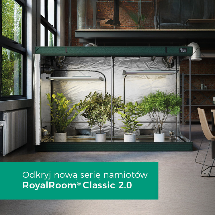 Nowa seria namiotów RR!